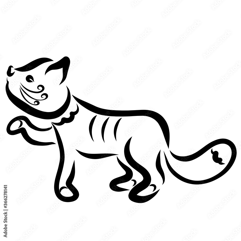 Obraz premium cute kitten asks for something, black pattern