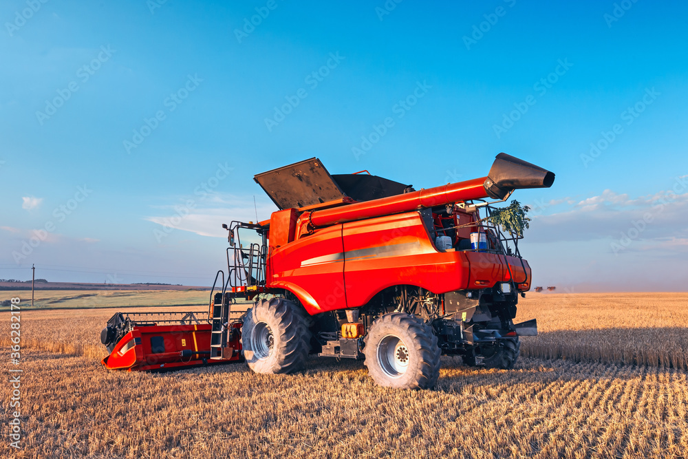 Obraz premium Harvesting grain in the field, harvester close-up. Bright, summer, daytime landscape.