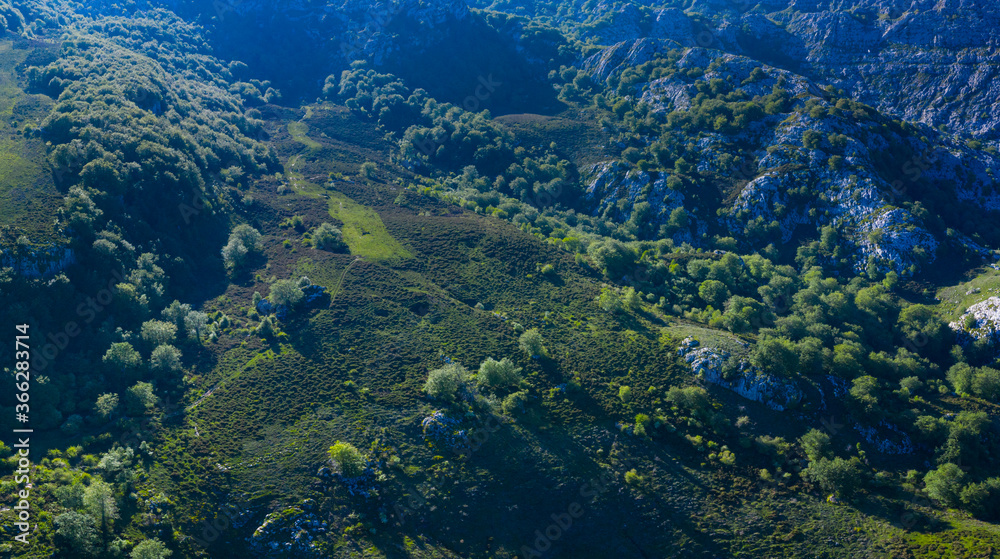 Aerial view of the beech and karst. Sierra de Hornijo Mountain Range close by San Pedro de Soba village in Soba Valley, within Pasiegos Valleys and Alto Ason Natural Park of Cantabria in Spain. Europe Aerial view of the beech and karst. Sierra de Hornijo Mountain Range close by San Pedro de Soba village in Soba Valley, within Pasiegos Valleys and Alto Ason Natural Park of Cantabria in Spain. Europe