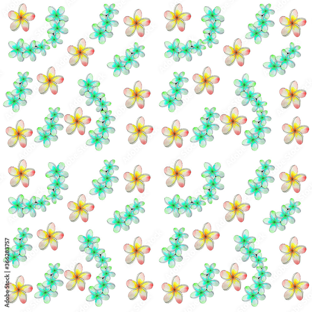 Tropical floral seamless pattern with plumeria flowers on the white background.