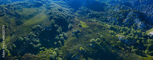 Aerial view of the beech and karst. Sierra de Hornijo Mountain Range close by San Pedro de Soba village in Soba Valley, within Pasiegos Valleys and Alto Ason Natural Park of Cantabria in Spain. Europe