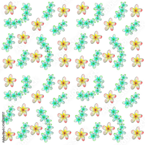 Tropical floral seamless pattern with plumeria flowers on the white background.