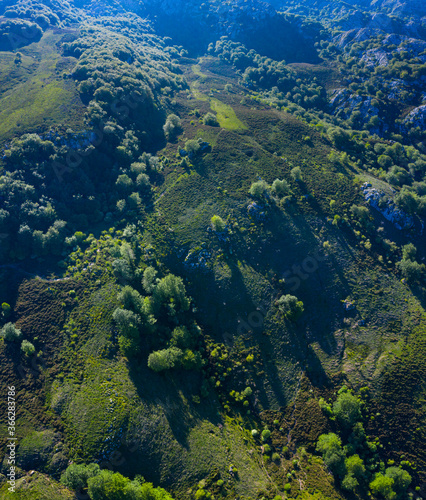 Aerial view of the beech and karst. Sierra de Hornijo Mountain Range close by San Pedro de Soba village in Soba Valley, within Pasiegos Valleys and Alto Ason Natural Park of Cantabria in Spain. Europe © JUAN CARLOS MUNOZ