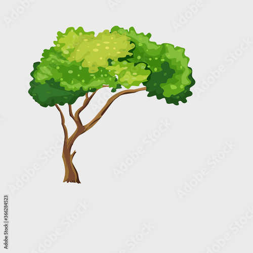 Vector illustration of a tree on a white background