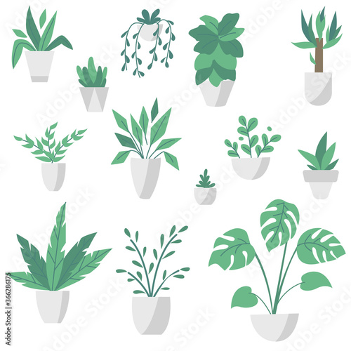 House and office potted plants isolated on white