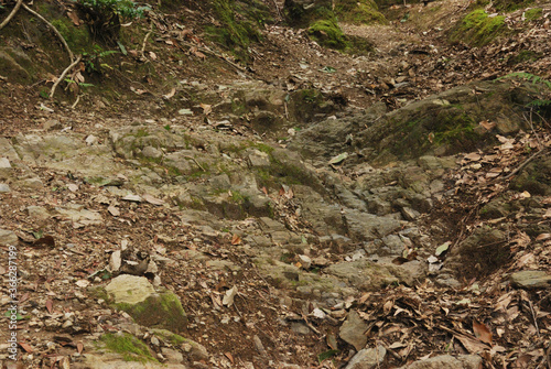 Wallpaper Mural 登山道で見た岩場 Torontodigital.ca