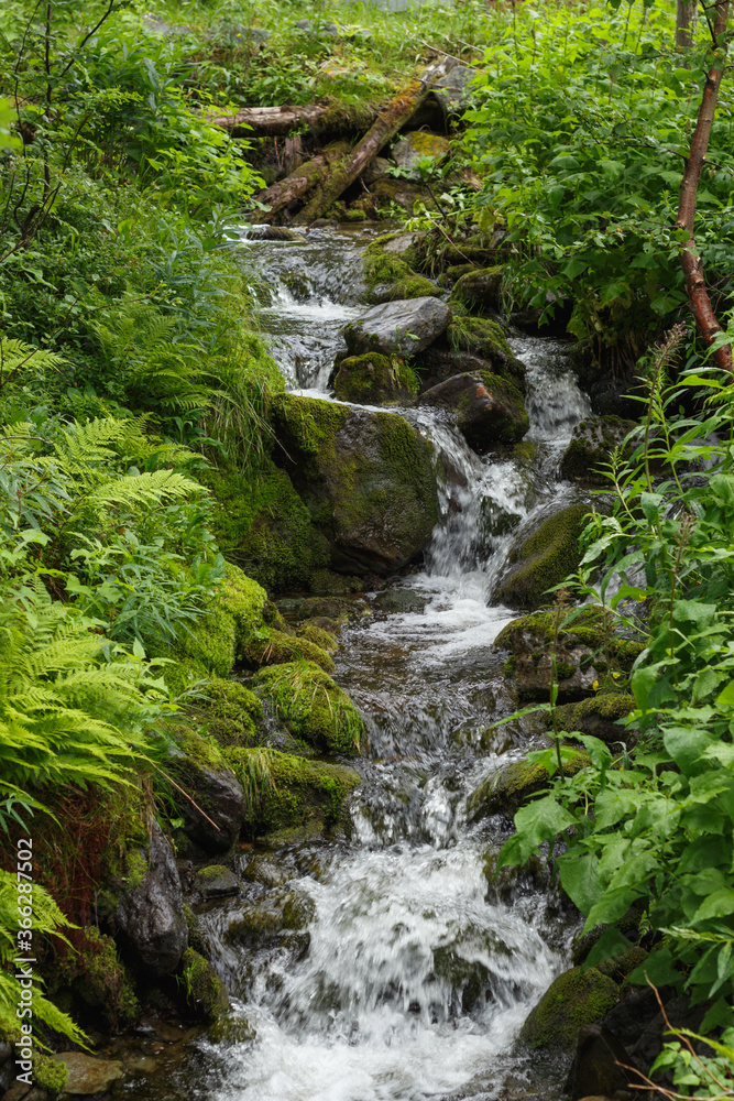 Gräftåvallen. Mountain waterfall among greenery