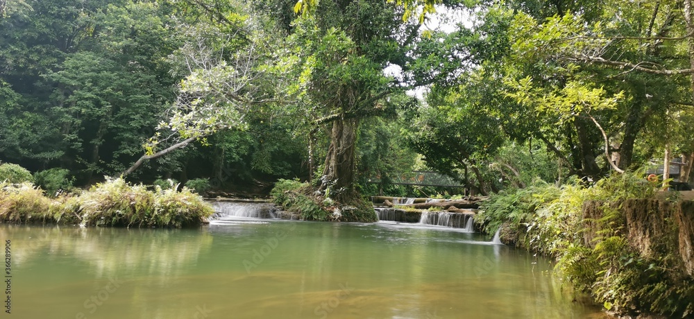 river in the forest