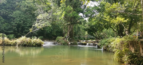 river in the forest