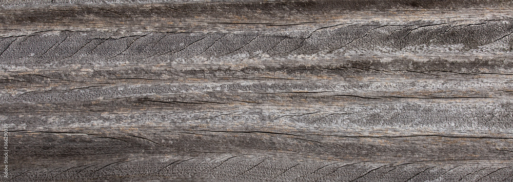 Naklejka premium texture of old wood plank surface background 