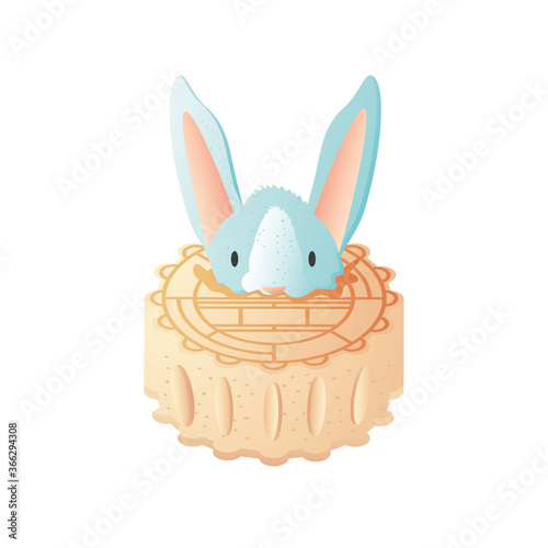 moon cake with rabbit on white background photo