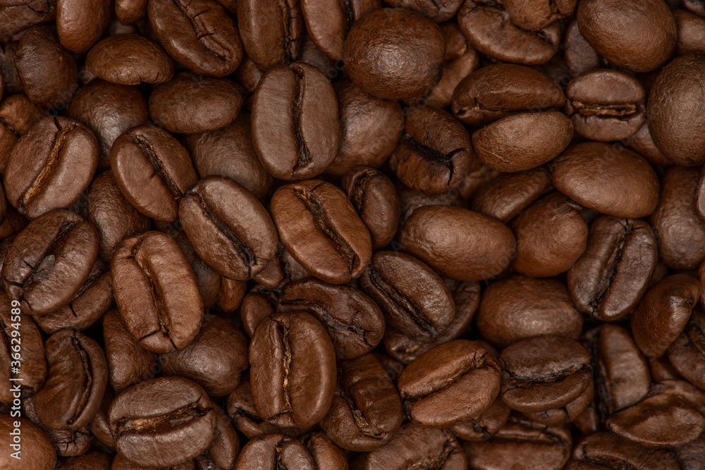 Fototapeta premium Coffee beans background. Fresh roasted coffee beans close up.