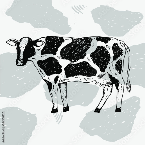 sketch of cow illustration vector