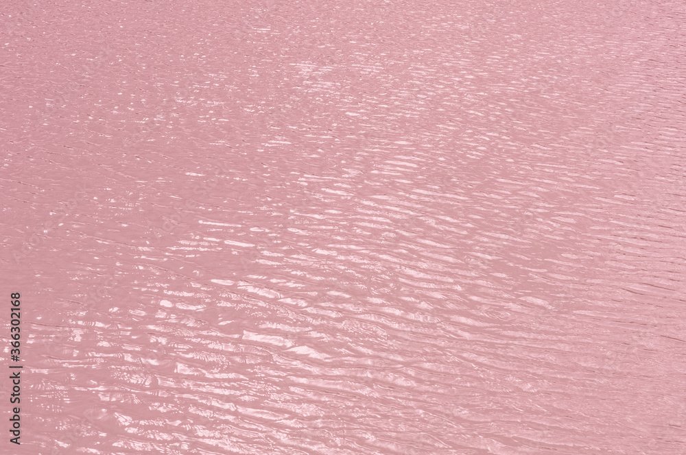 Fototapeta premium Bright, colorful background close-up, pale pink water surface lake, outdoors.