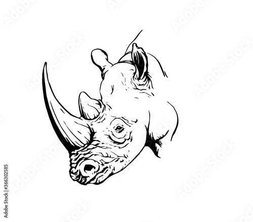Graphical rhino isolated on white,vector illustration,lined  art