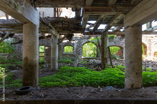 Abandoned, dilapidated barn overgrown with vegetation