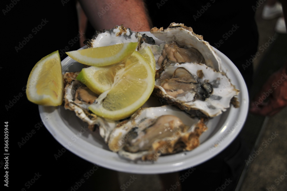 Fresh oysters at Cádiz Central Market, Mercado Central, Andalusia, Spain