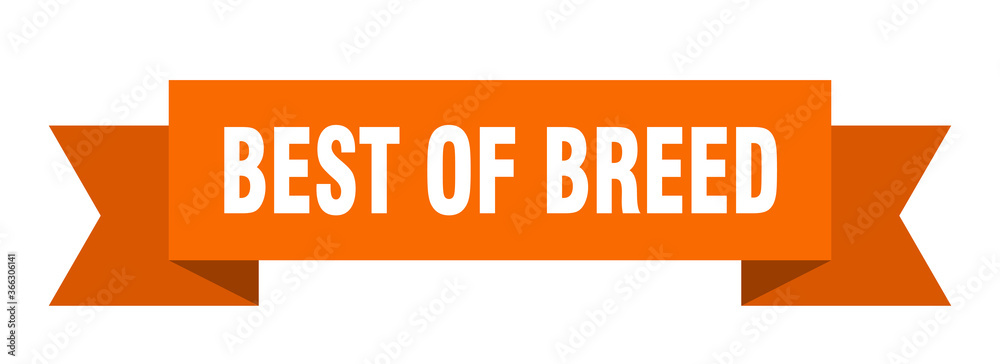 best of breed ribbon. best of breed paper band banner sign best of breed ribbon. best of breed paper band banner sign