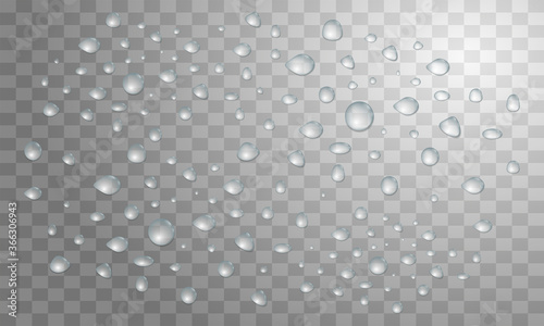 Transparent water drops background. Rain or condensation on a surface. Dew. Realistic Vector Background