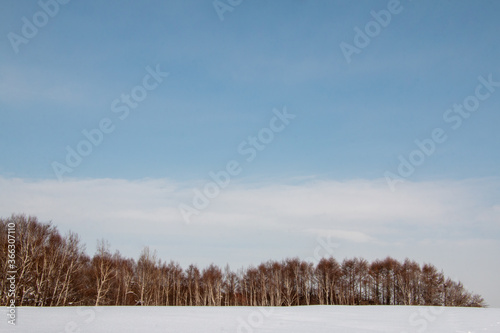雪景色 © tmx_photo