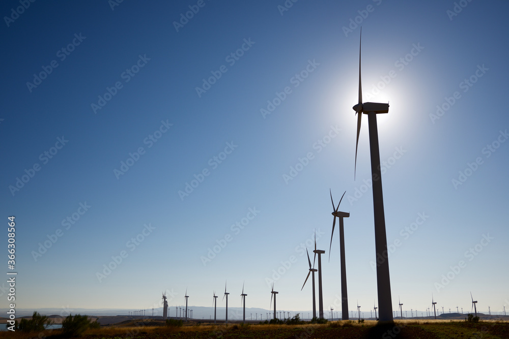 Fototapeta premium Wind energy concept