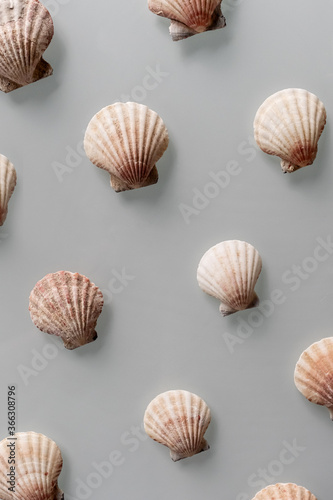 Pattern of Different seashells on pastel gray background. Top view  flat lay. Summer concept. Sea summer vacation background. Full frame composition