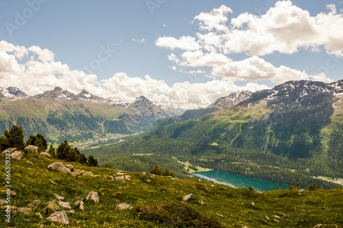 St. Moritz, Corviglia, Oberengadin, Wanderweg, Stazerwald, St. Moritzersee, Pontresina, Schafberg, Alp Languard, Alpen, Piz Rosatsch, Rosatschgruppe, Graubünden, Sommer, Schweiz