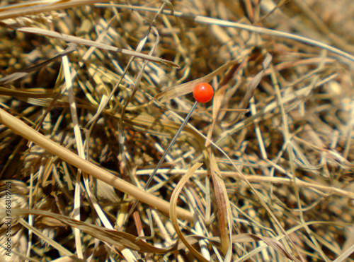 Stecknadel im Heuhaufen photo