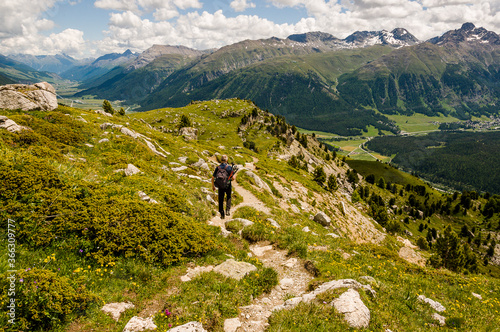 Corviglia, Oberengadin, Stazerwald, Muottas Muragl, Piz Muragl, Schafberg, Alp Languard, Wanderweg, Wanderer, Pontresina, Alpen, Bernina, Graubünden, Sommer, Schweiz photo