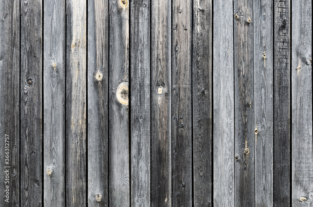Fototapeta premium Gray wooden background. Grunge texture. Old wood background for your design.