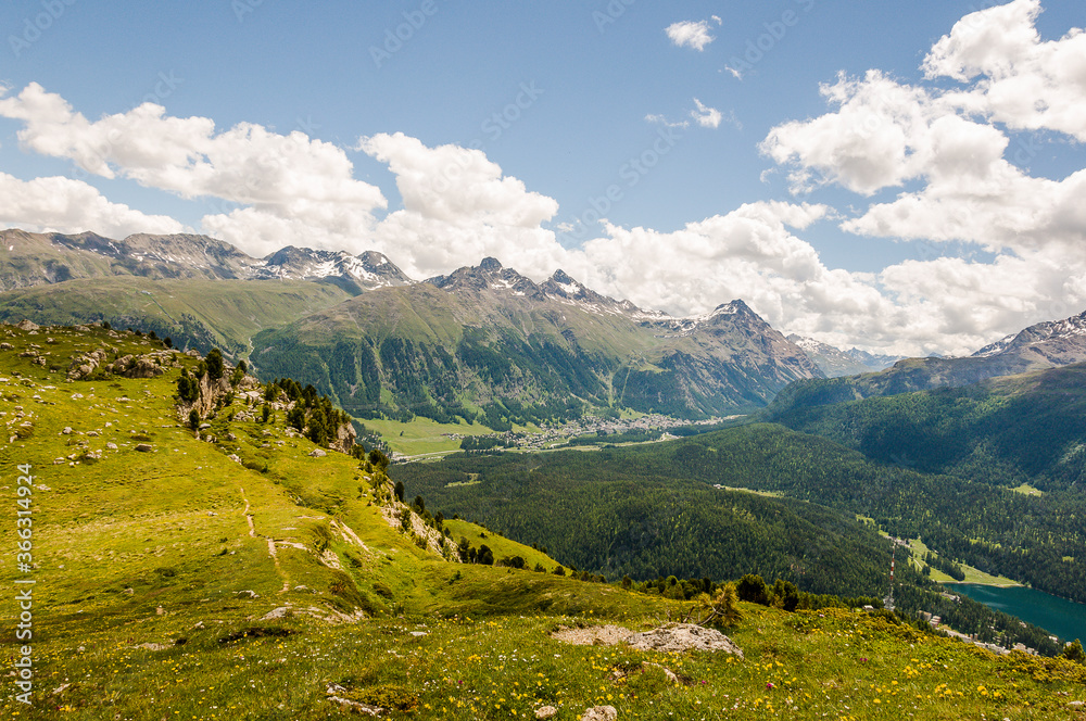 Naklejka premium Corviglia, Oberengadin, Pontresina, Stazerwald, Muottas Muragl, Piz Muragl, Schafberg, Alp Languard, Piz Languard, Wanderweg, Alpen, Bernina, Graubünden, Sommer, Schweiz