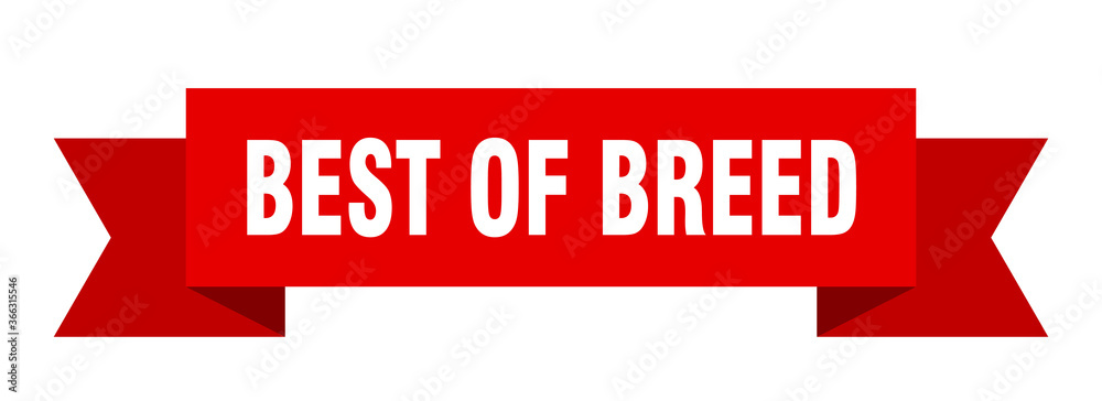 best of breed ribbon. best of breed paper band banner sign best of breed ribbon. best of breed paper band banner sign