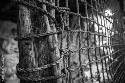 net structure bind on a log background black and white