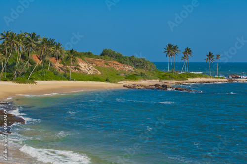 tropical beach with palm trees © digorelik1983