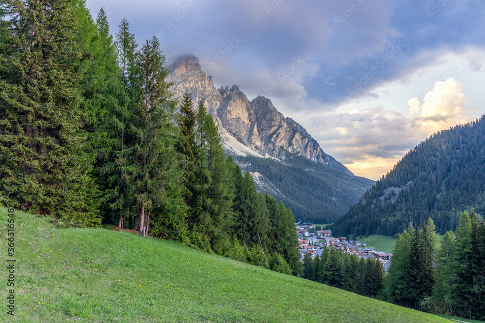 Alpine meadow and forest at the foot of the Italian Dolomites. Corvara in badia.