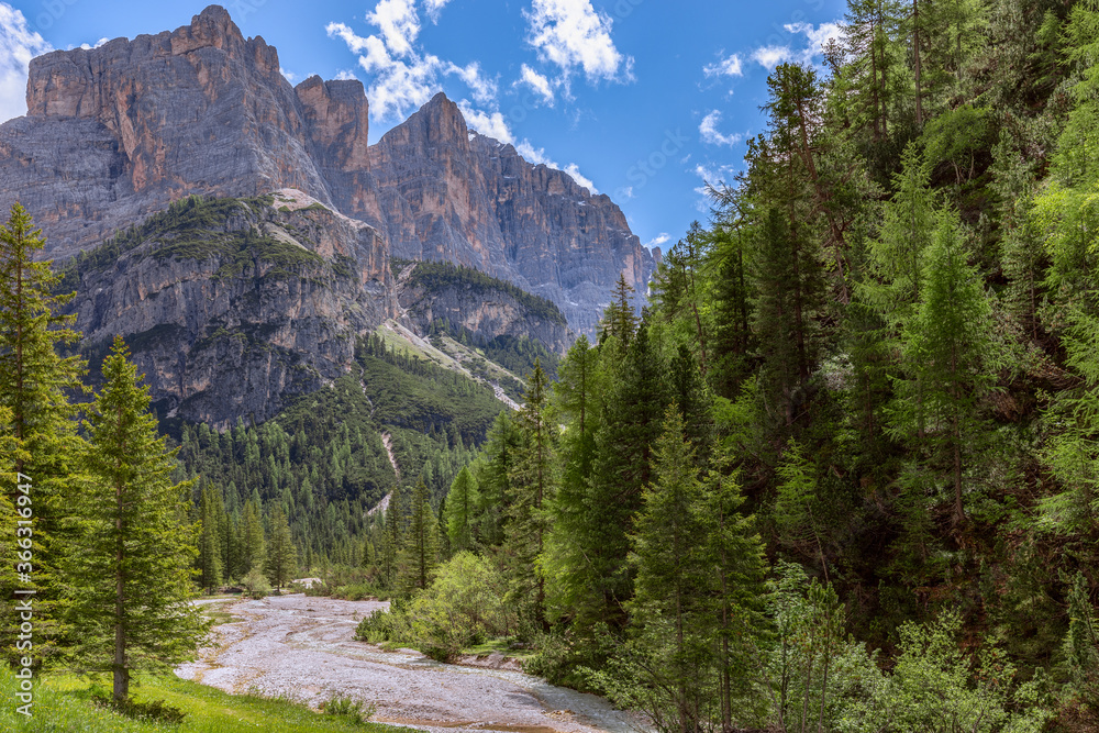 Mountain stream in the Italian Dolomite Alps surrounded by fresh forest