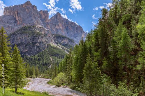 Mountain stream in the Italian Dolomite Alps surrounded by fresh forest