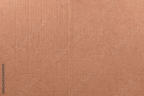 Real cardboard texture background for your design