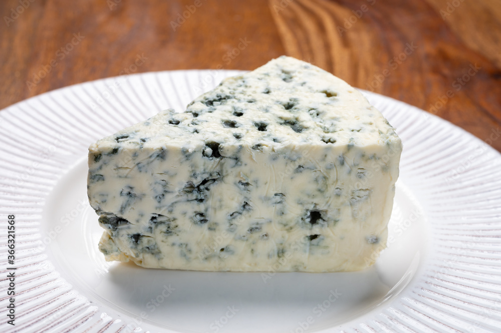 Cheese collection, piece of danish blue cheese with blue mold