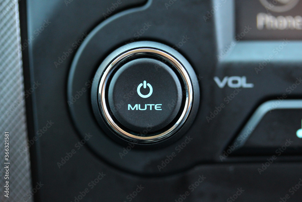 Vehicle audio system knob