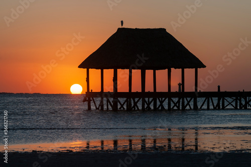 A hut over Caribbean Ocean at sunset, a little bird in the top of the hut, reflections on the water of the Caribbean Sea, Holbox, Mexico