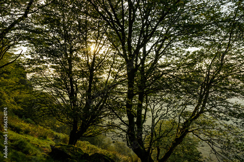 Paisajes de montes del Pais Vasco en la zona de Urnieta y Andoain, Adarra