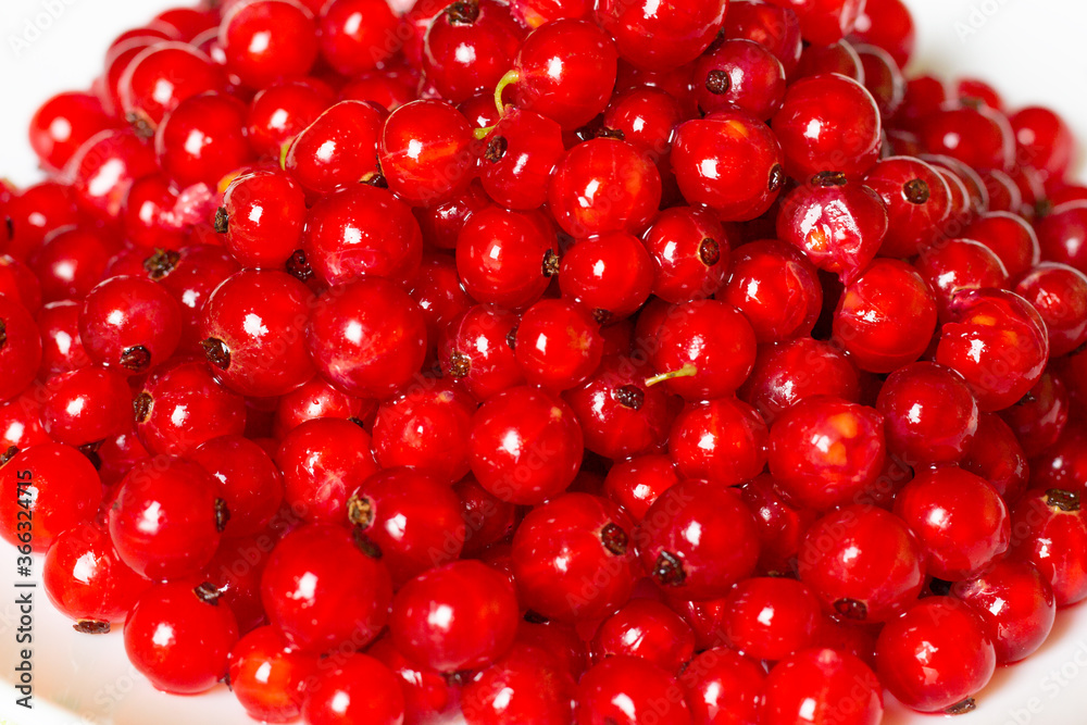 red currant berries close up on a white background
red currant berries close up on a white background