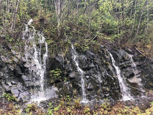 waterfall in the forest