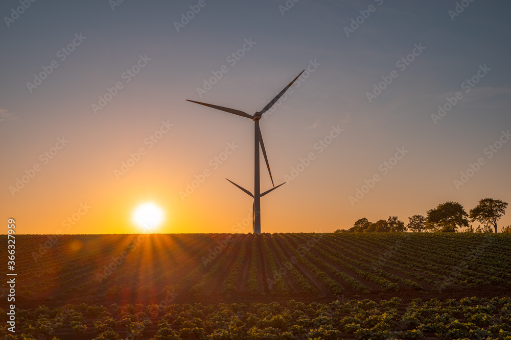 windmill farm in the field windmill farm in the field