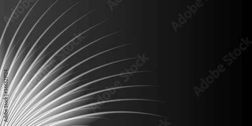 Simple black curve wave lines presentation background