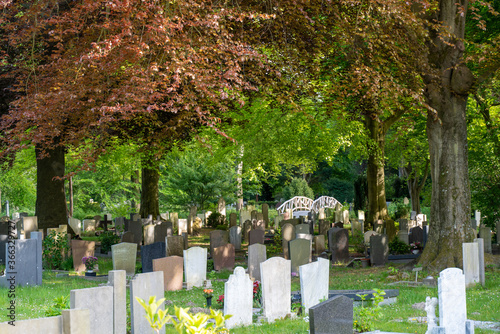 Alkmaar, Netherlands - Algemene begraafplaats photo