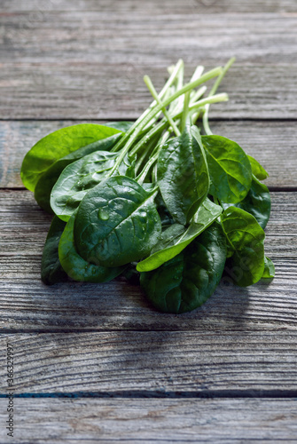 bunch of green fresh spinach leaves on old gray wooden table