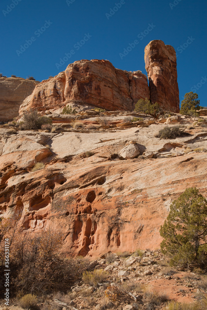 Unusual geologic rock formations viewed from Calf Creek Trail, Grand Staircase-Escalante National Monument and Zion National Park, Utah