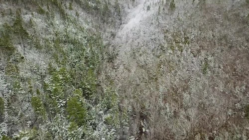 Aerial shot of forests with snow in winter , Port Hawksbury , Nova Scotia, Canada photo